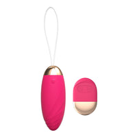 Red oval shape （controlled by remote control.）