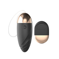 Black oval shape （controlled by remote control.）