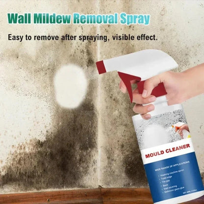 🔥Limited Time Discount🔥 | WAVDRA™  MOULD CLEANER Revive Spray: Instant Mold Removal Solution